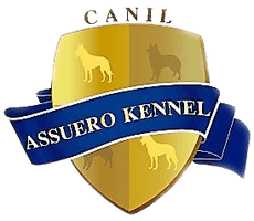 Logo Canil Assuero