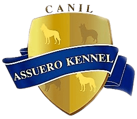 Logo Canil Assuero