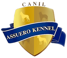 Logo Canil Assuero